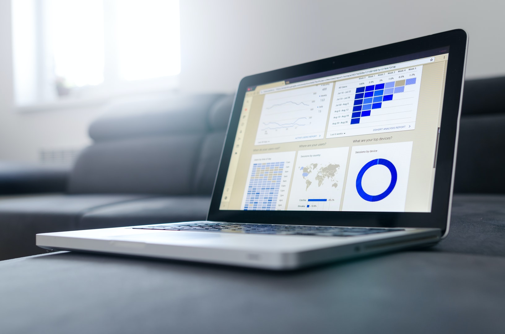 Data Visualization Services